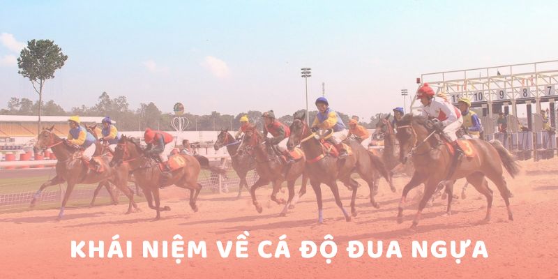 cá độ đua ngựa
