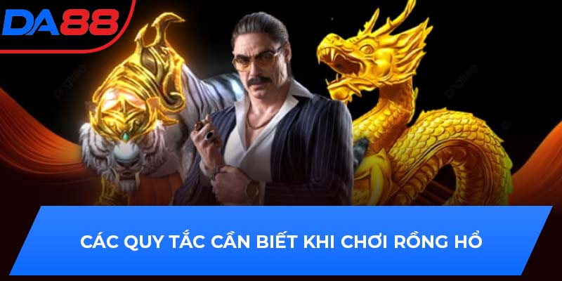 Các quy tắc cần biết khi chơi rồng hổ