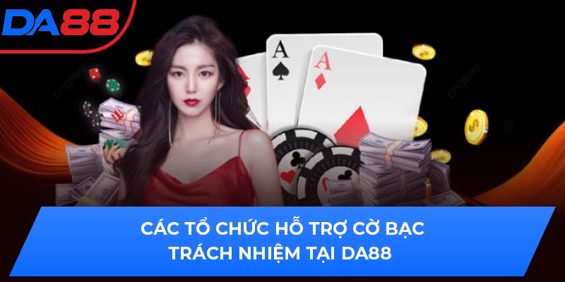 Các tổ chức hỗ trợ cờ bạc trách nhiệm tại DA88