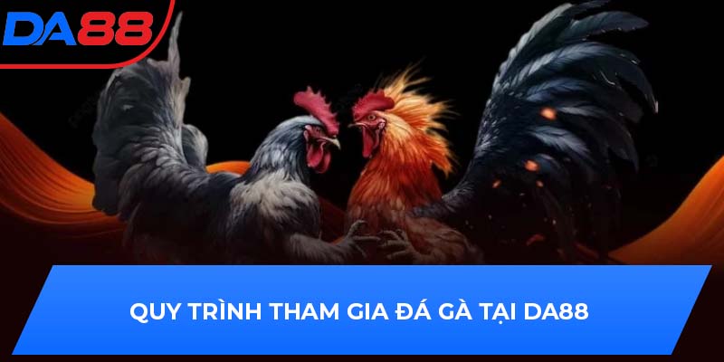 Quy trình tham gia đá gà tại DA88