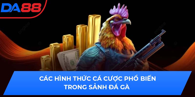 Các hình thức cá cược phổ biến trong sảnh đá gà