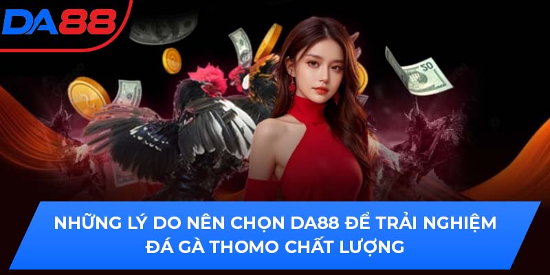Những lý do nên chọn DA88 để trải nghiệm đá gà Thomo chất lượng