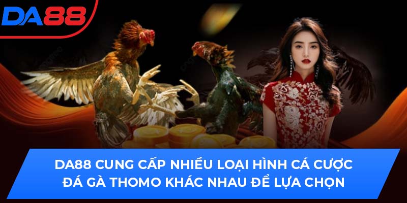 DA88 cung cấp nhiều loại hình cá cược Đá gà Thomo khác nhau để lựa chọn