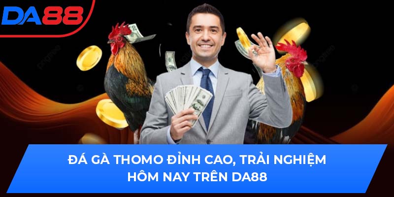 Đá Gà Thomo Đỉnh Cao, Trải Nghiệm Hôm Nay Trên DA88