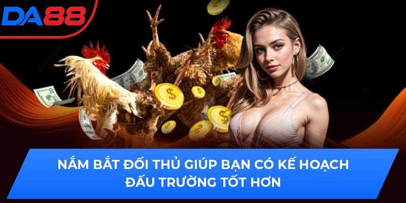 Nắm bắt đối thủ giúp bạn có kế hoạch đấu trường tốt hơn