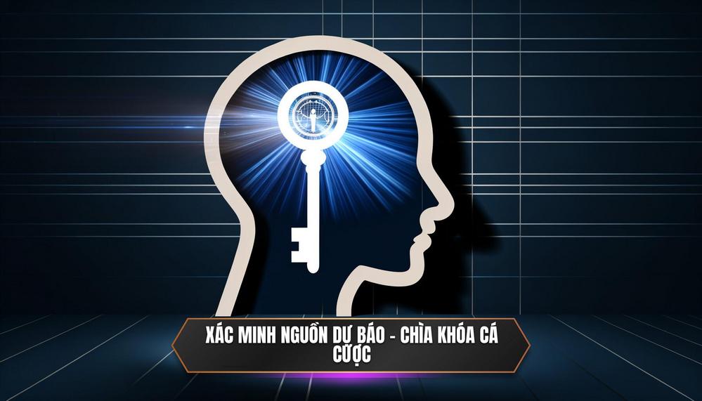 Tại Sao Việc Kiểm Tra và Xác Minh Nguồn Dự Báo Là Chìa Khóa Vàng Cho Mọi Bet Thủ